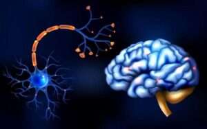 Multiple Sclerosis: Symptoms, Diagnosis, Treatment & Cost in India