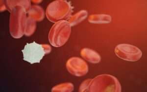 Blood Cancer Symptoms You Must Know
