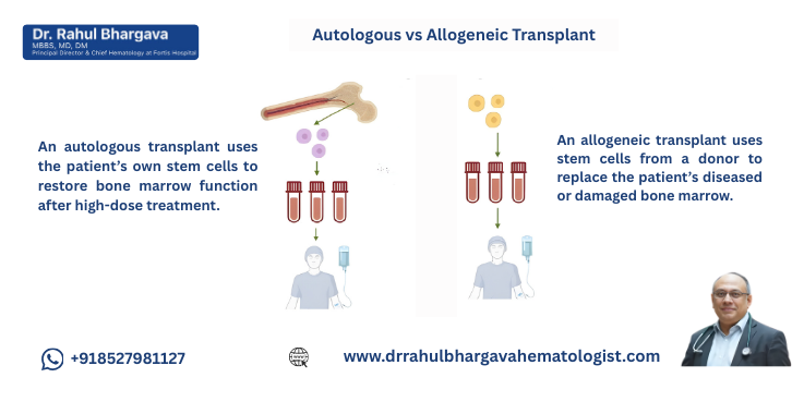 Autologous vs Allogeneic Transplant: Which Is Right for You?