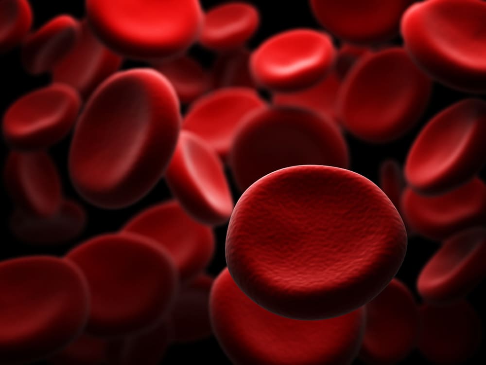 Benign Hematologic Conditions Treatment in India