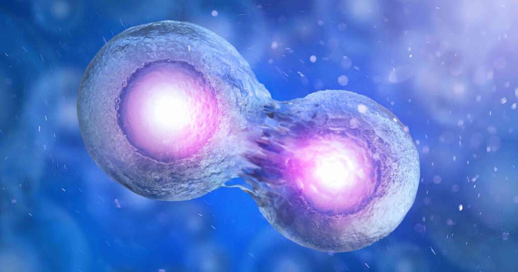 Allogeneic Stem Cell Transplant