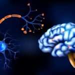 Multiple Sclerosis Treatment in USA